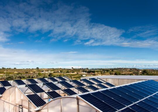 What's ECOLOOP about? 