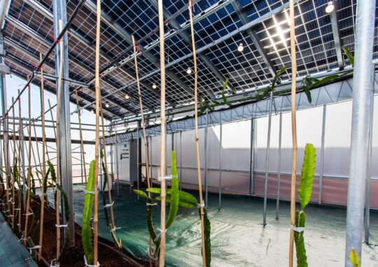 What's ECOLOOP about? 