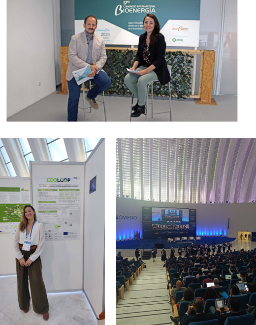 ECOLOOP shines in key Spanish conferences 
